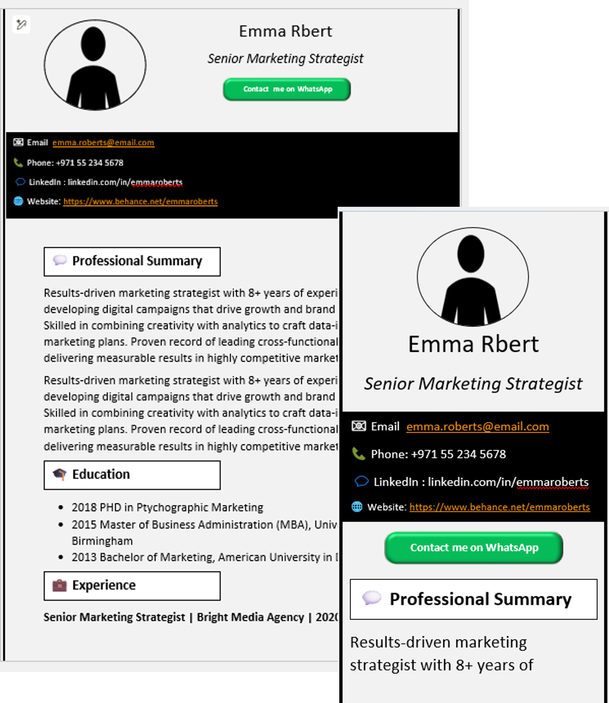 Resumes preview